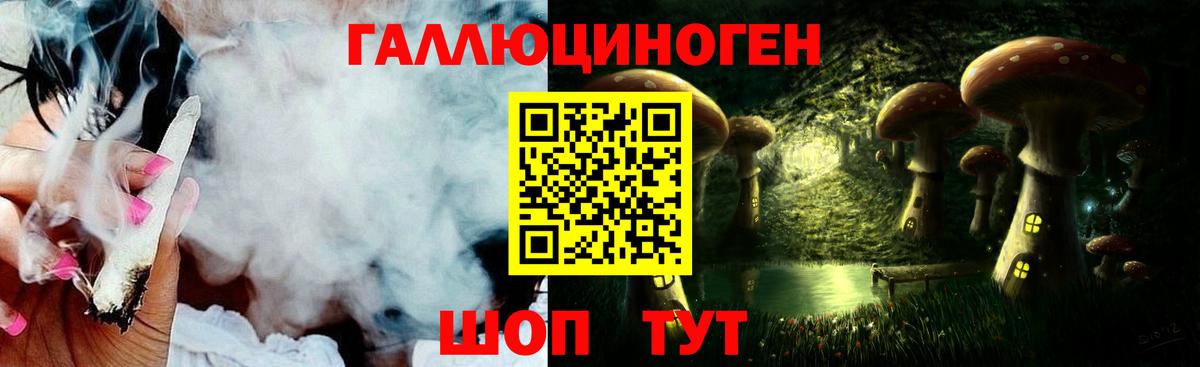 купить  сайты  Псилоцибиновые грибы Cubensis  Пенза  Вход с VPN  Галлюциногенные грибы Psilocybe 